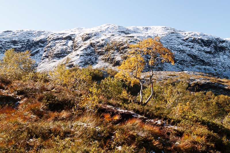 Haust Langfossdalen